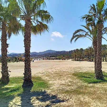 T2 Avec Terrasse A La Faviere, Proche Plages Et Commerces - Fr-1-610-20 봄레미모사